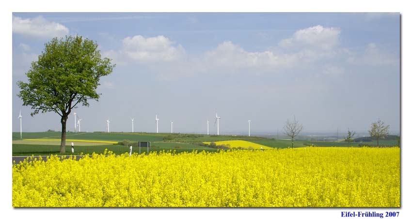 Eifel-Frühling