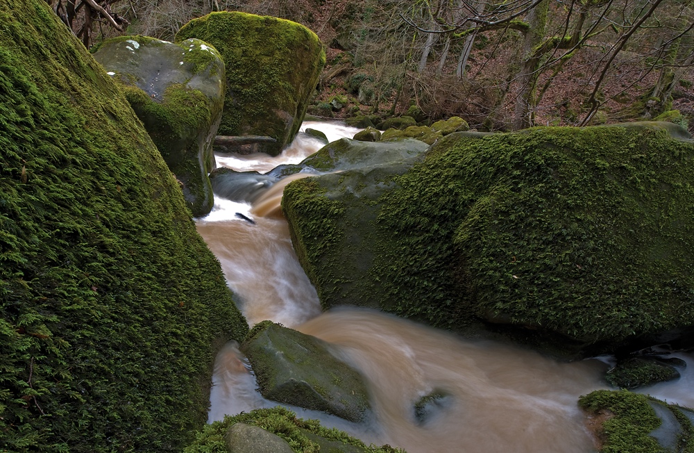 Eifel Grün 1