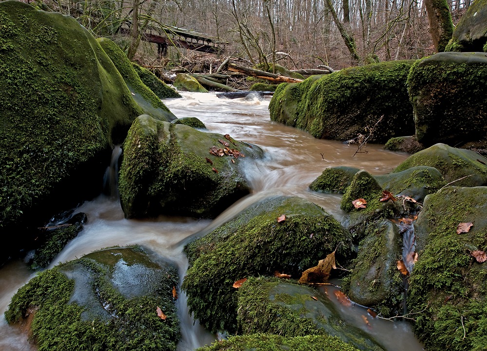 Eifel Grün