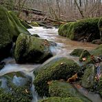 Eifel Grün