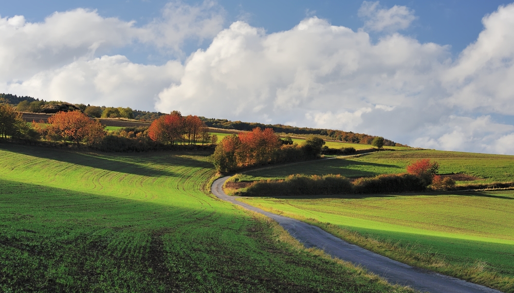 *Eifel-Herbst*