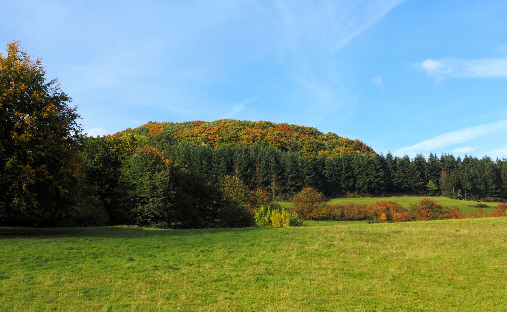 Eifel Herbst 