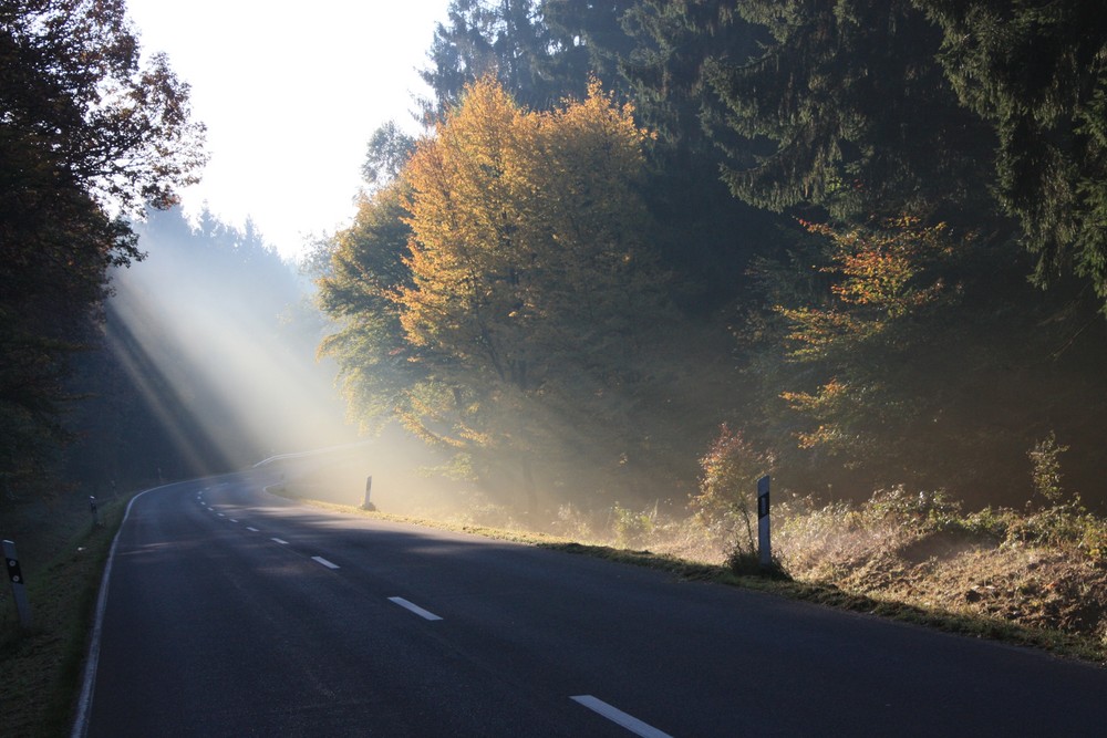 Eifel-Herbst