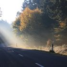 Eifel-Herbst