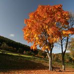 Eifel-Herbst