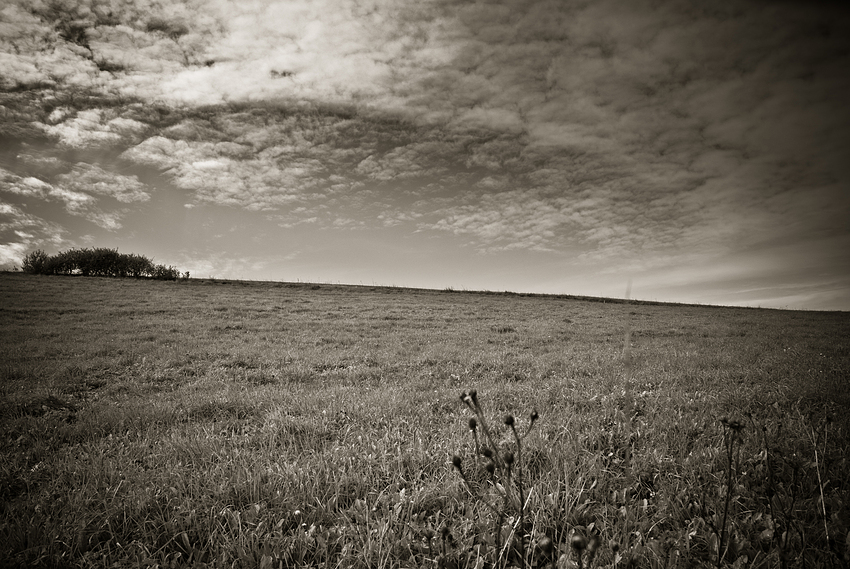 Eifel Hügel