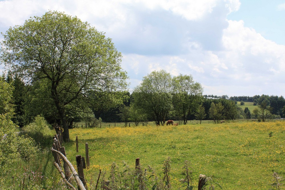 Eifel Idyll