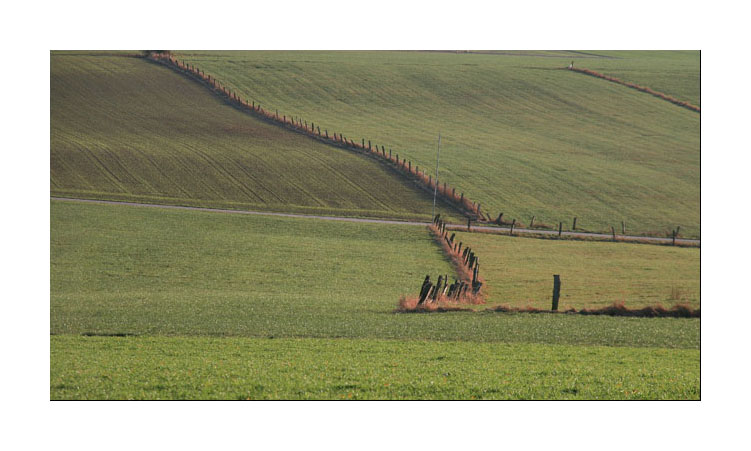 Eifel im Dezember I