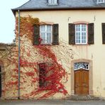 Eifel im Herbst 