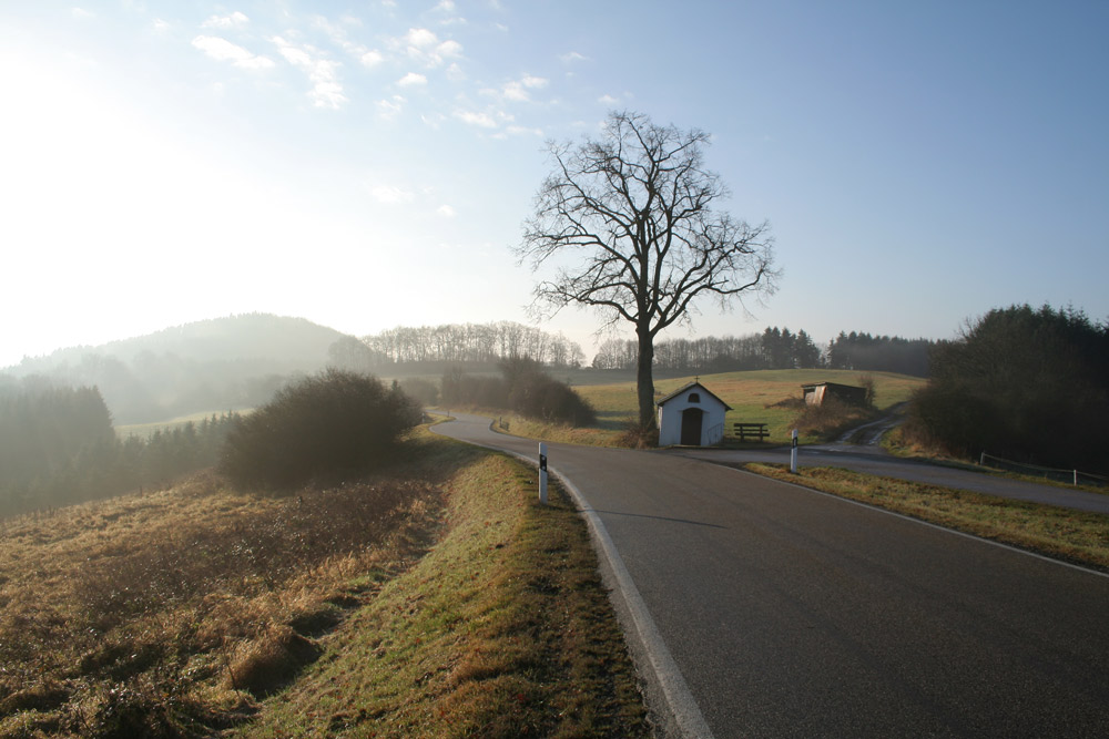 Eifel im Nebel