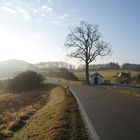 Eifel im Nebel