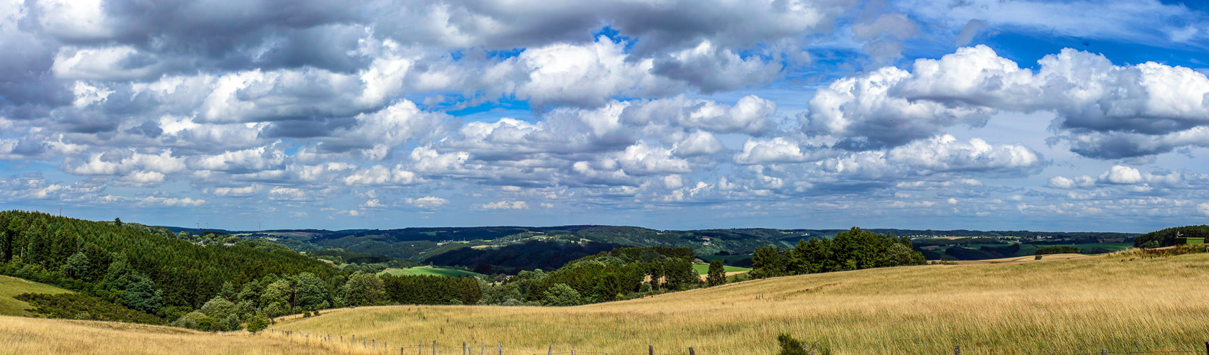 Eifel im Panorama