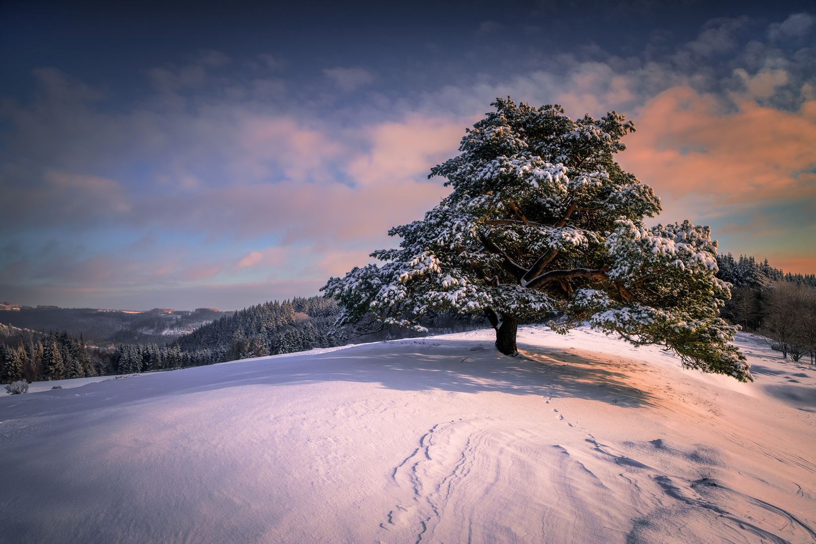 Eifel im Winterkleid