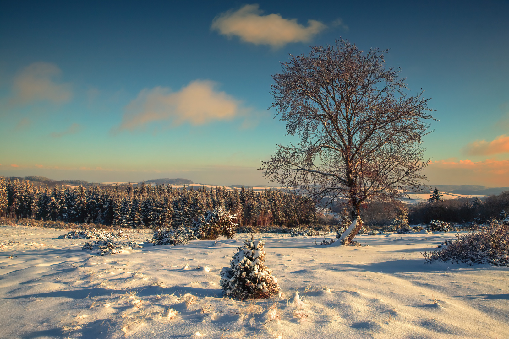 Eifel im Winterkleid II