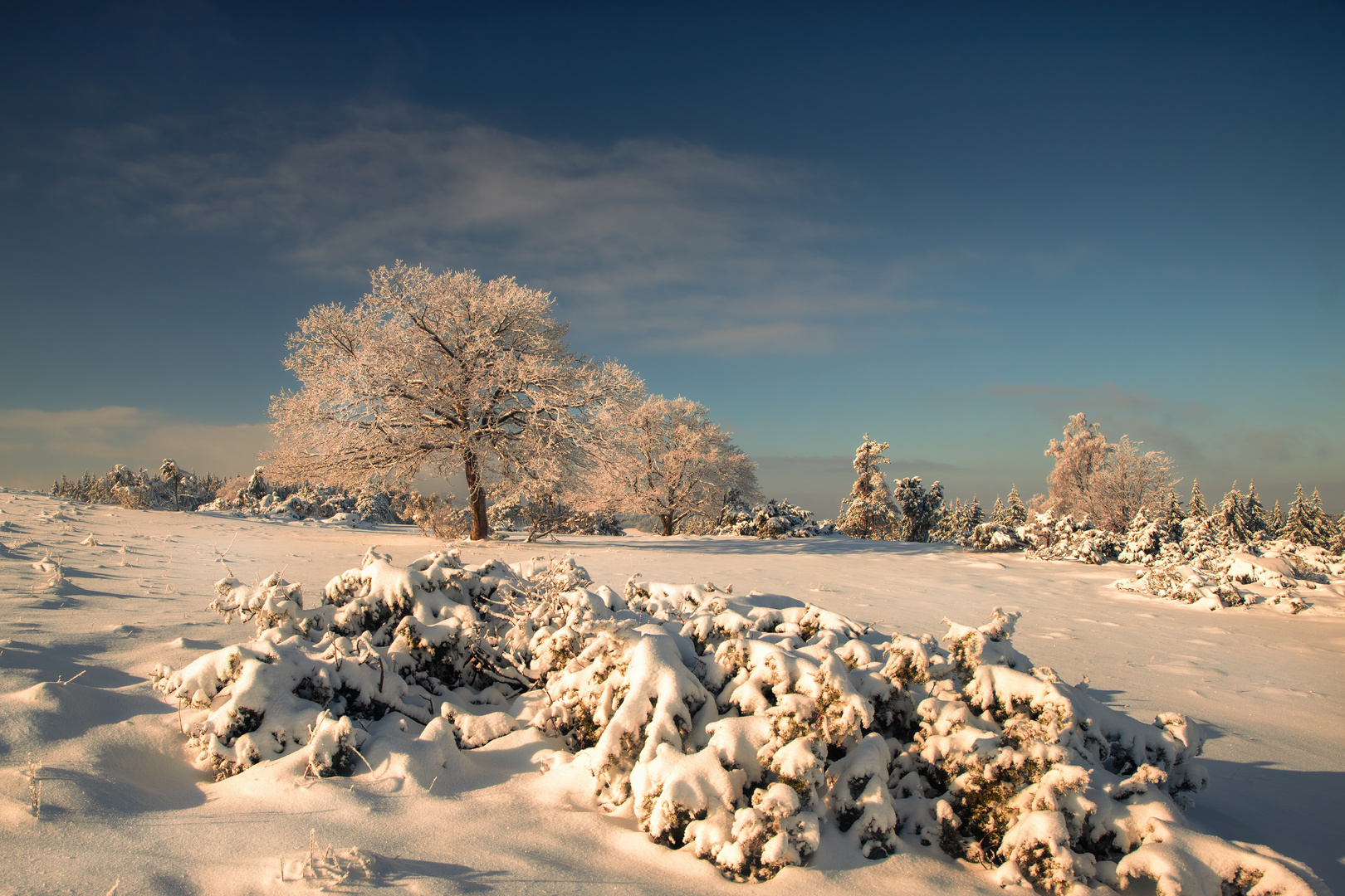 Eifel im Winterkleid III