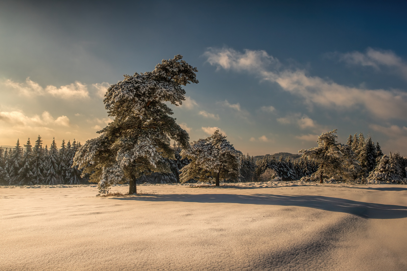 Eifel im Winterkleid IV