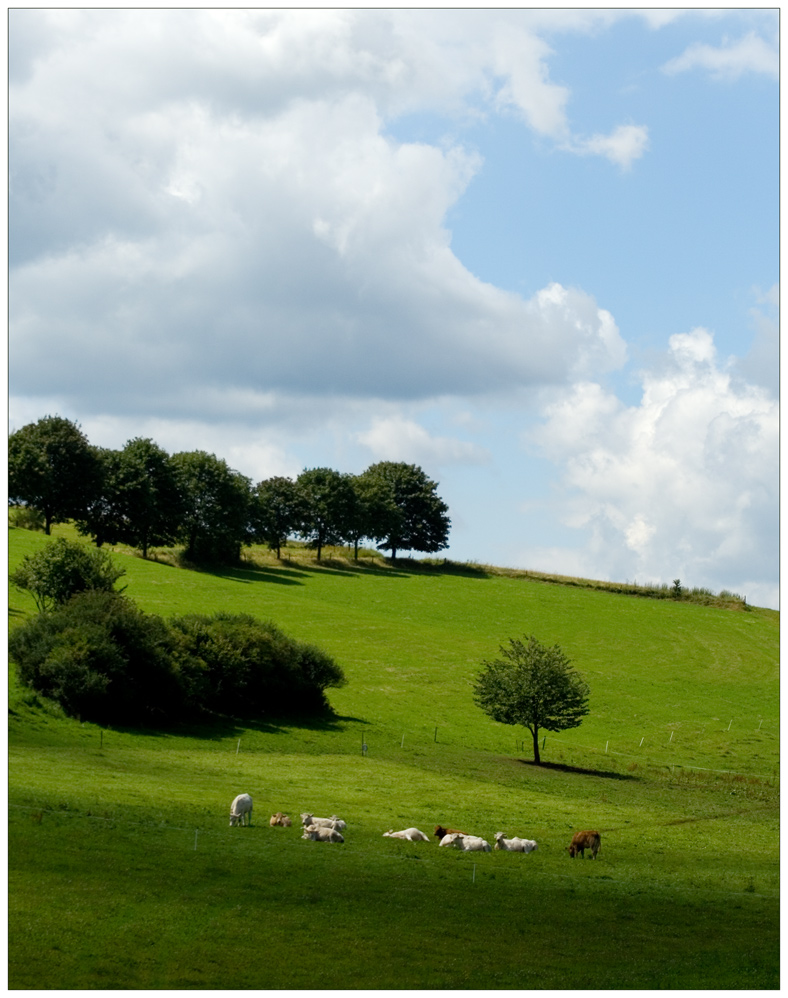 Eifel-Impressionen