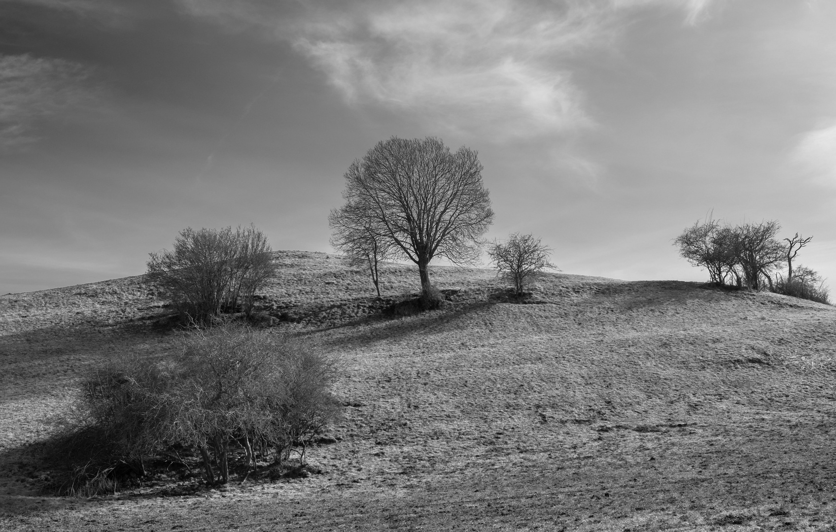 Eifel in s/w