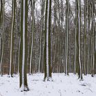 Eifel - Kermeter im Schnee # 3