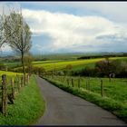 Eifel - Landschaft