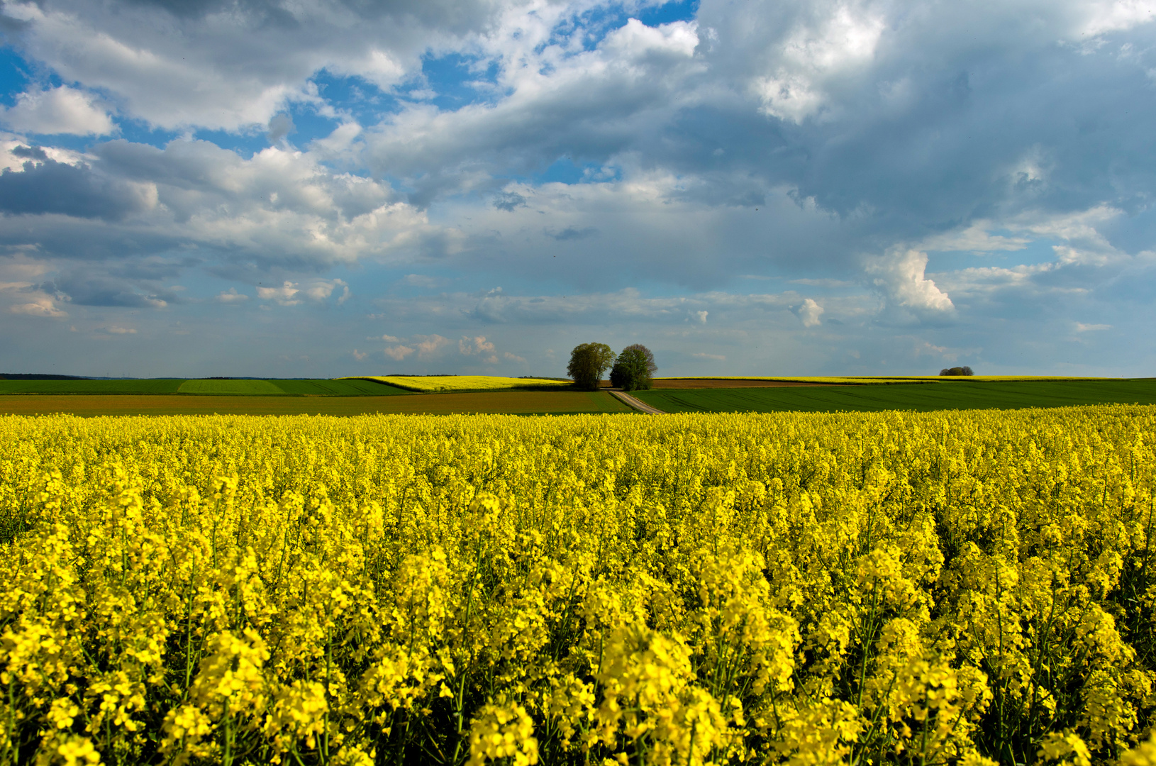 Eifel, Münstermaifeld I