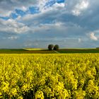 Eifel, Münstermaifeld I