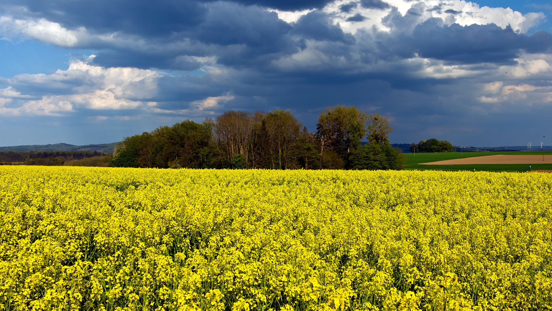 Eifel, Münstermaifeld II