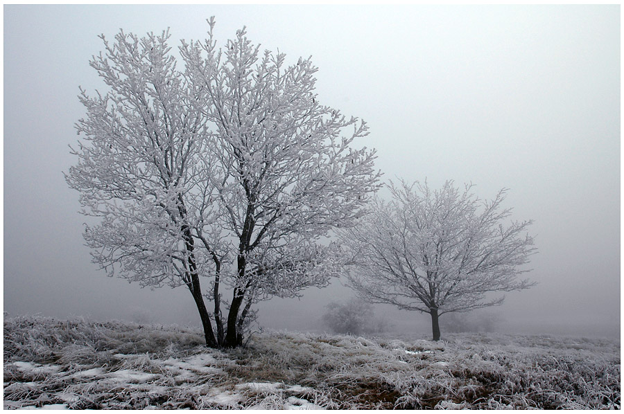 Eifel Nebel #1