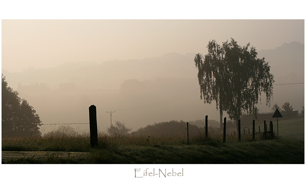 Eifel-Nebel