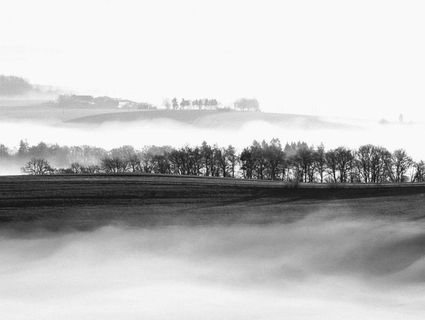 Eifel Nebel im März