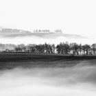 Eifel Nebel im März