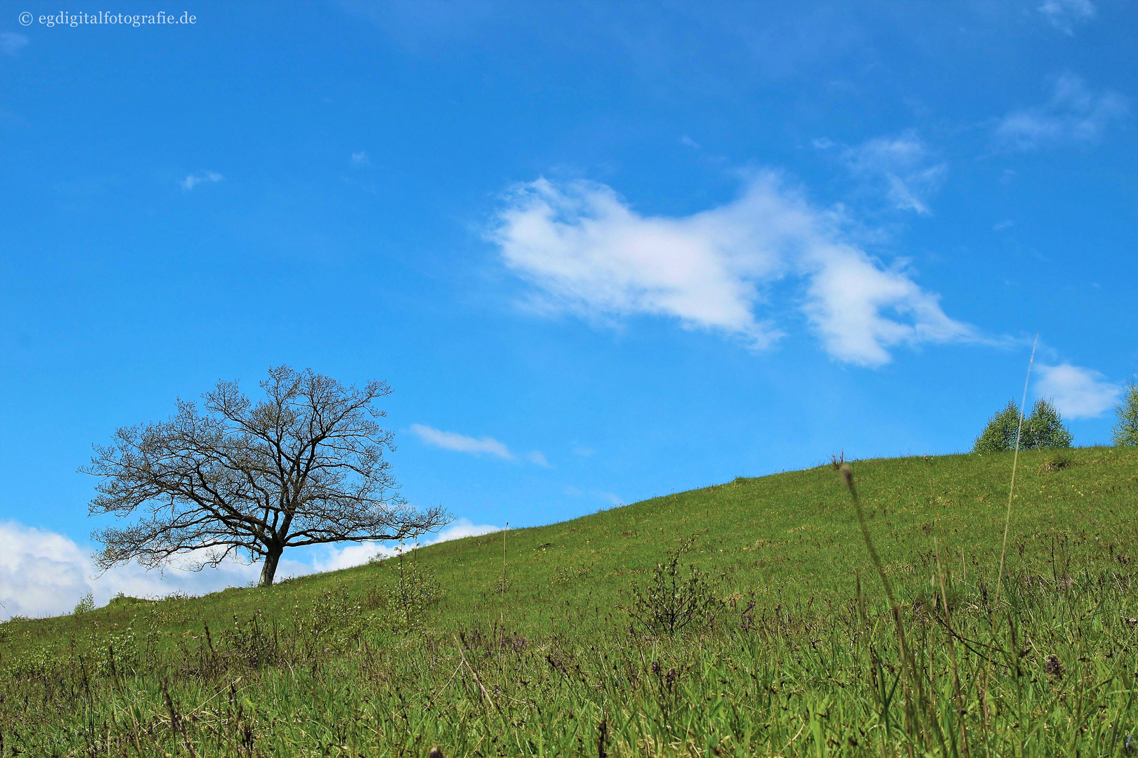 »Eifel, oh Eifel, du bist so wunderschön - wir freuen uns sehr, dich bald wiederzuseh'n...«