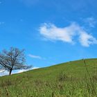 »Eifel, oh Eifel, du bist so wunderschön - wir freuen uns sehr, dich bald wiederzuseh'n...«