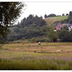 Eifel ohne Sonne