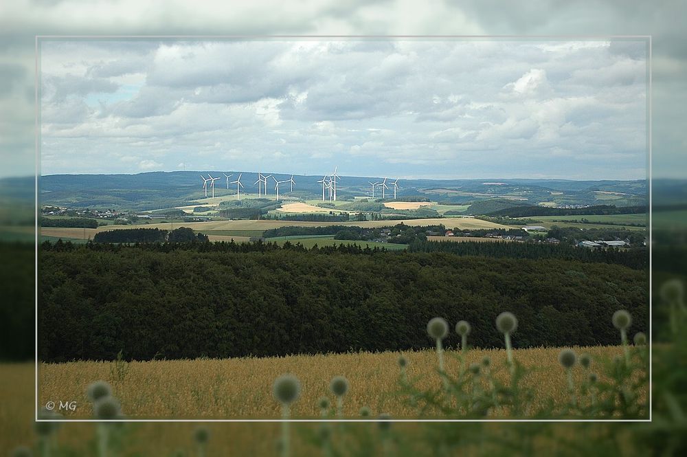 Eifel _ Panorama