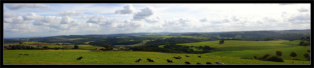 Eifel Panorama