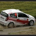 Eifel-Rallye 2010 #18 WP 8