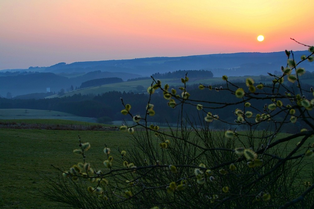 Eifel Reifferscheid