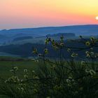 Eifel Reifferscheid