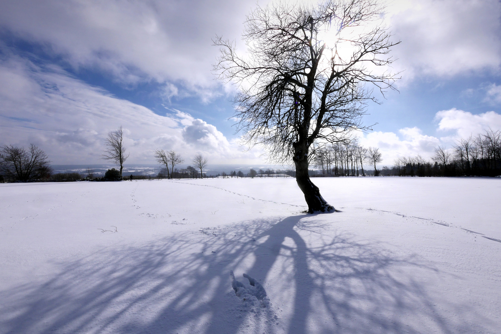 Eifel-Schatten