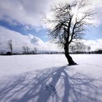 Eifel-Schatten