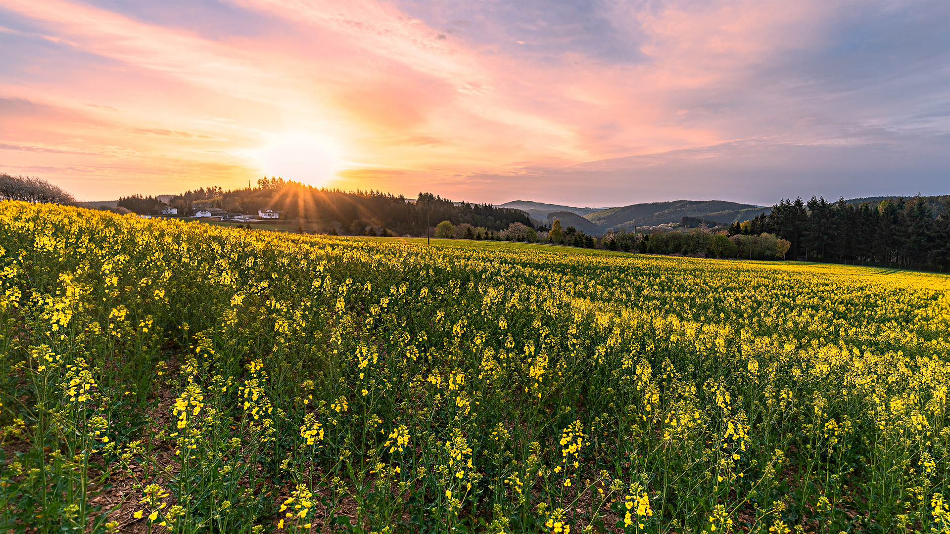 Eifel Sonnenaufgang