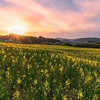 Eifel Sonnenaufgang