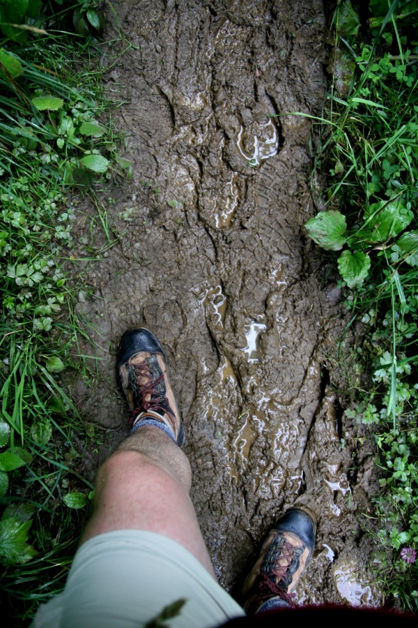 Eifel-Trail