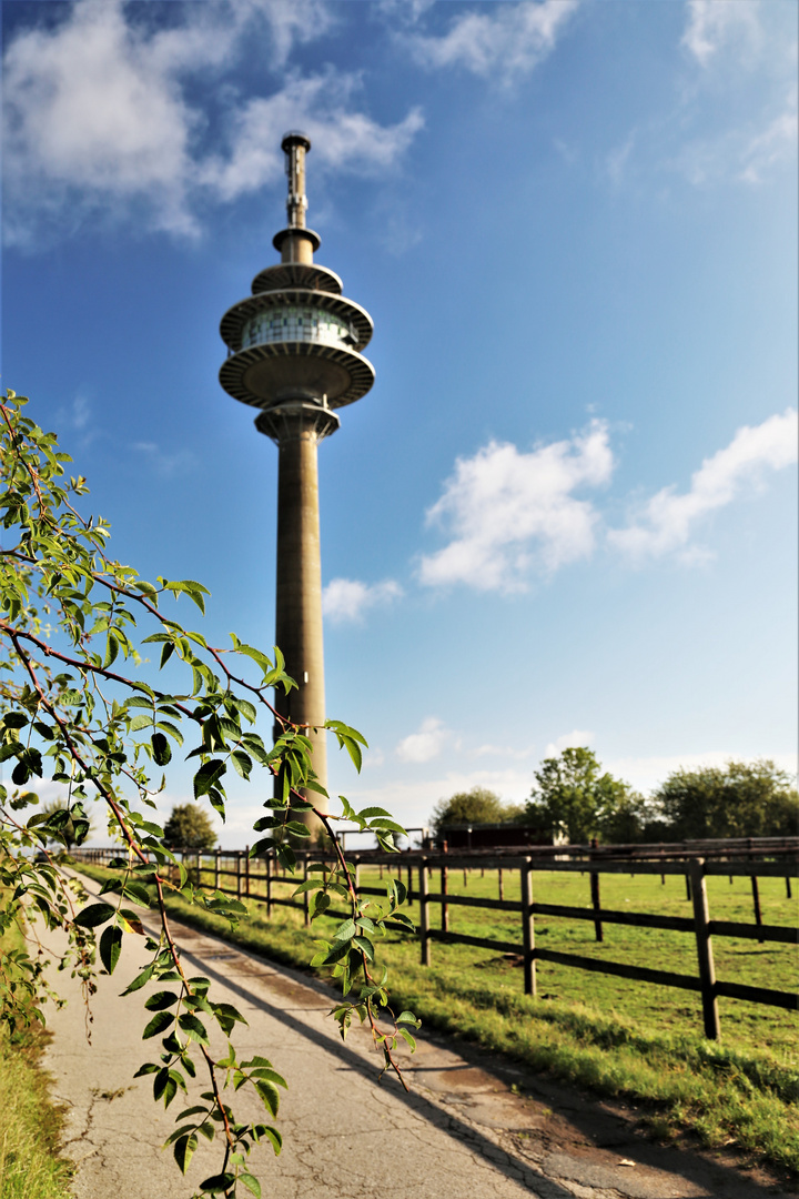 Eifel-Turm