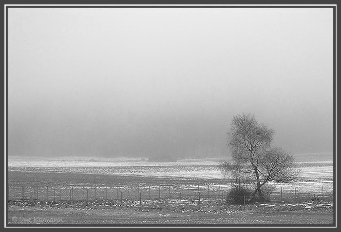 Eifel-Wetter, kurz vor dem Jahreswechsel (01901)