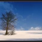 Eifel-Winter (02206)