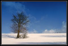 Eifel-Winter (02206)