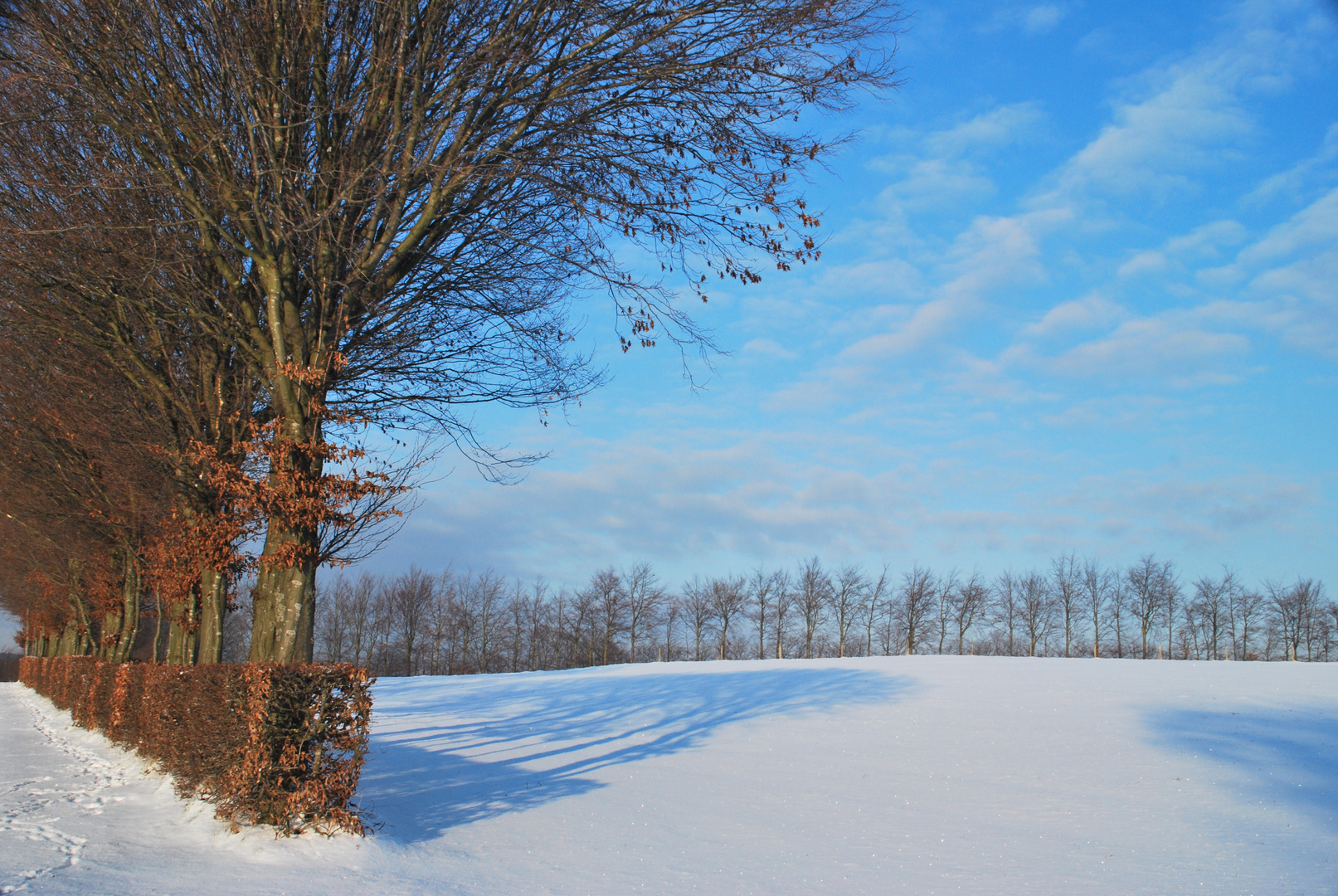 Eifel - Winter