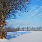 Eifel - Winter